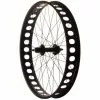 Varios Rueda Trasera Quanta Fat Bike
